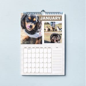 Chestermere Dog Calendar 2024