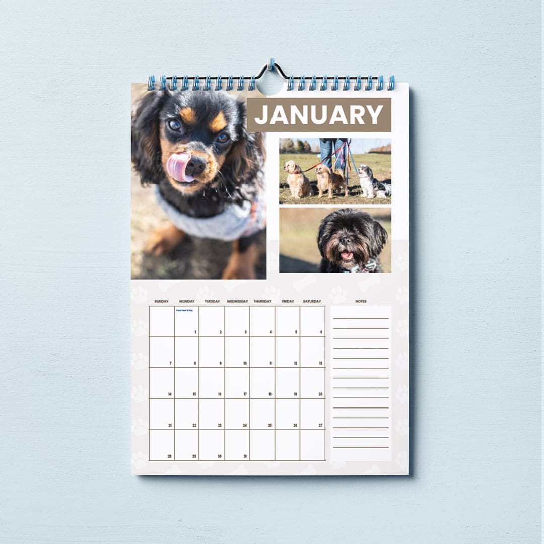 Chestermere Dog Calendar 2024