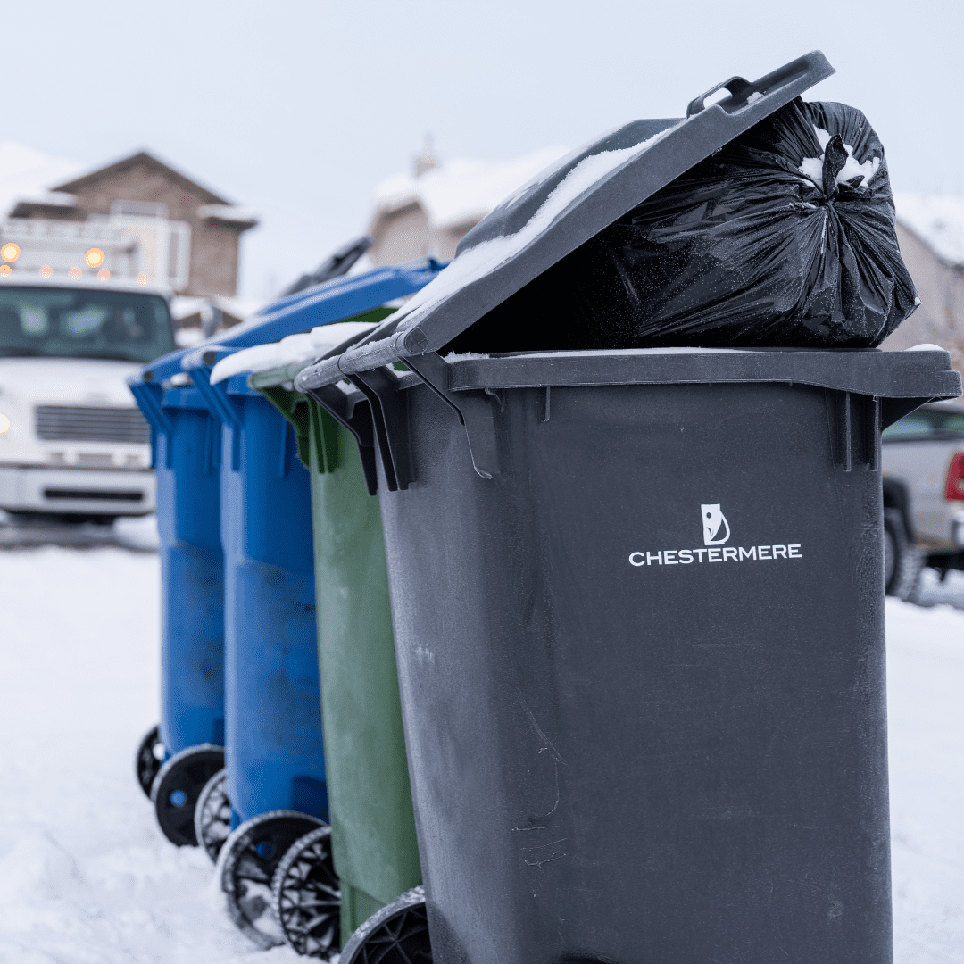 different coloured carts sit in the foreground with a collection truck behind them