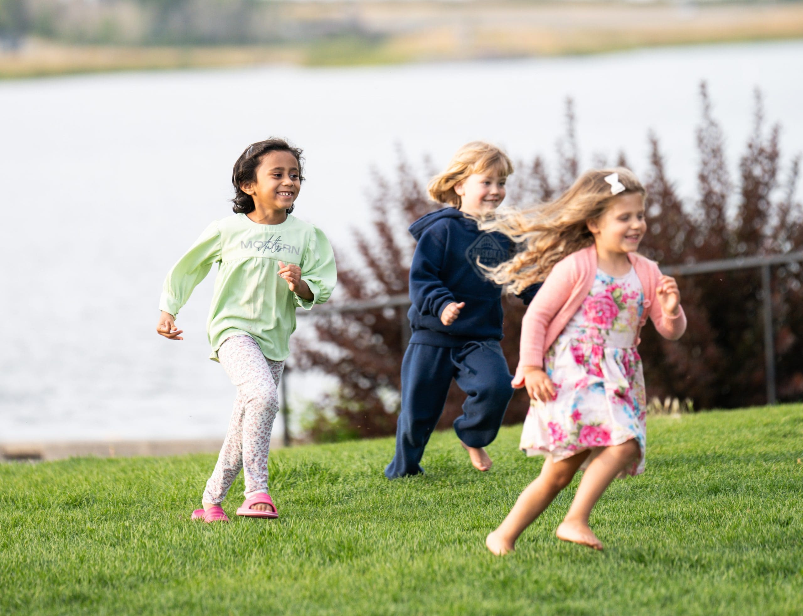 Summer Festival 2024