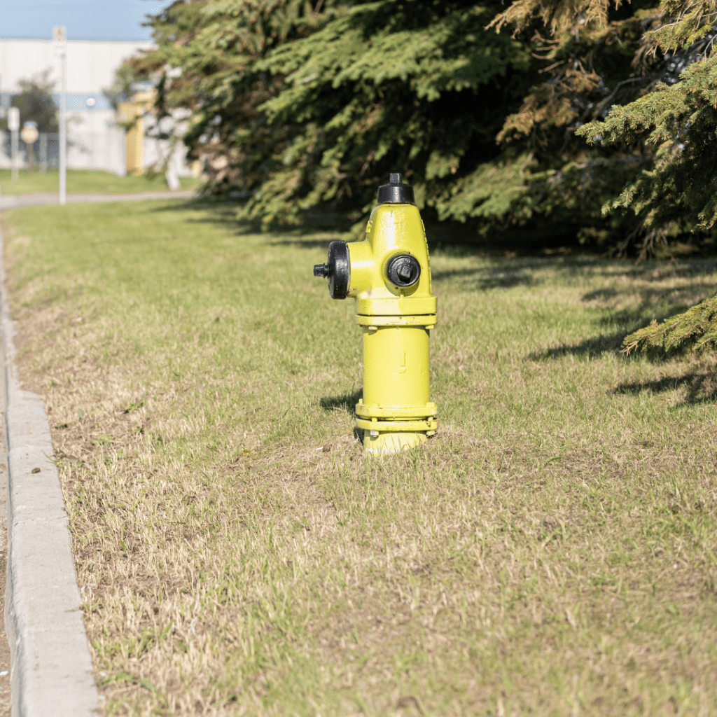 A yellow hydrant can be seen protruding from the grass beside a curb