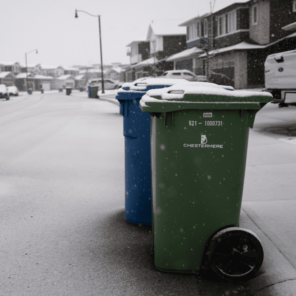 A green and blue bin on a curb with a light dusting of snow on top of them
