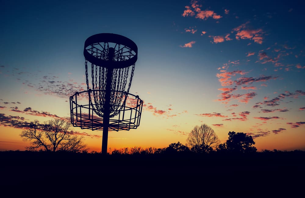 Chestermere Disc Golf Basket